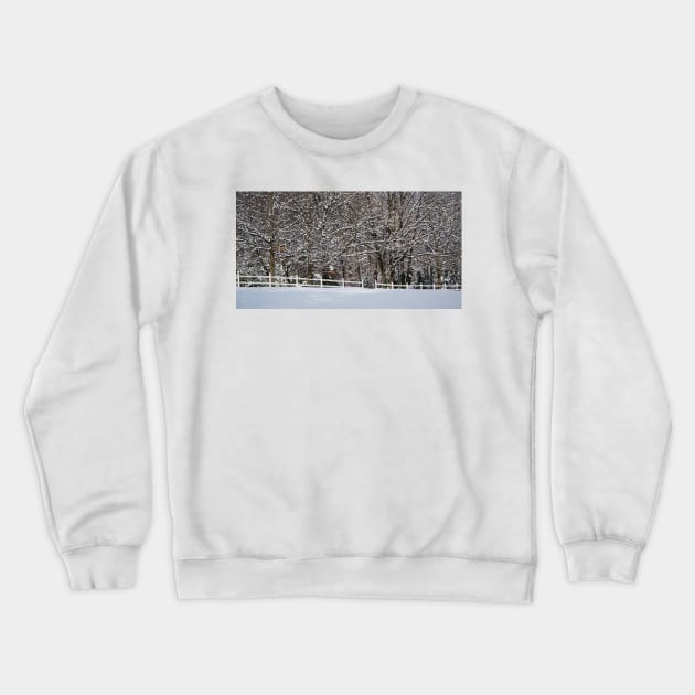 Rural Winter Crewneck Sweatshirt by LaurieMinor